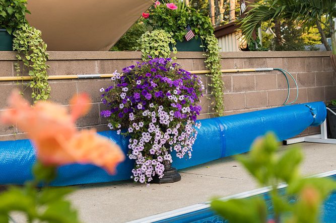 Flowers near the Footbridge pool